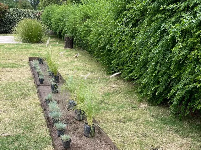 Proyecto de parquización y paisajismo de BioVergel en Córdoba
