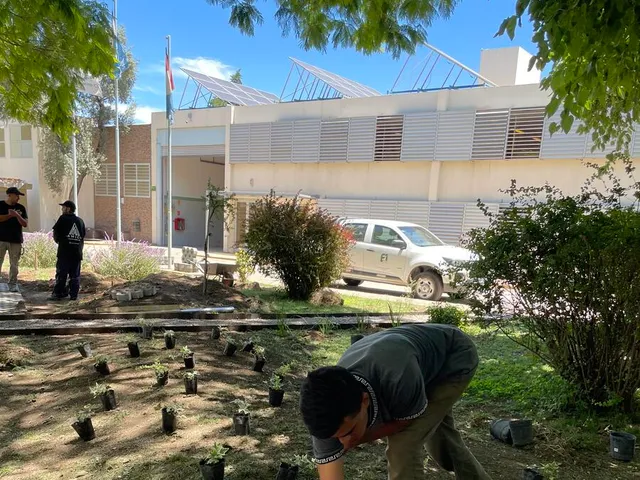 Proyecto de parquización y paisajismo de BioVergel en Córdoba