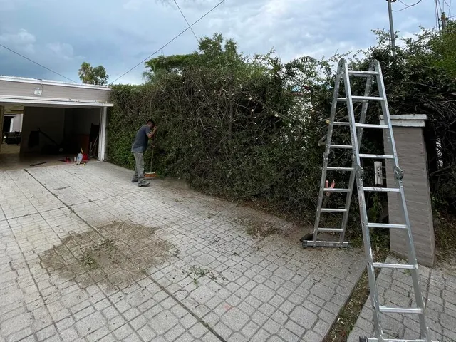 Proyecto de parquización y paisajismo de BioVergel en Córdoba