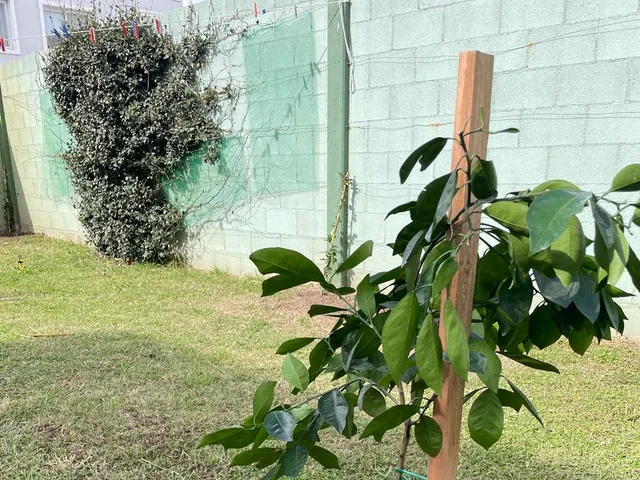 Proyecto de parquización y paisajismo de BioVergel en Córdoba